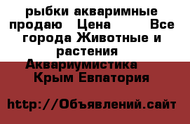 рыбки акваримные продаю › Цена ­ 30 - Все города Животные и растения » Аквариумистика   . Крым,Евпатория